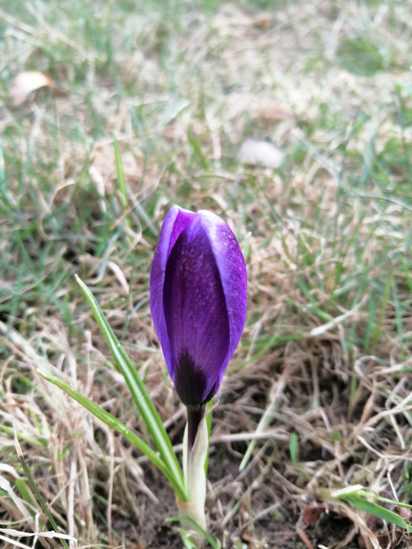 Annexe 91499415_2638498706260193_57897297316413440_n(1).jpg