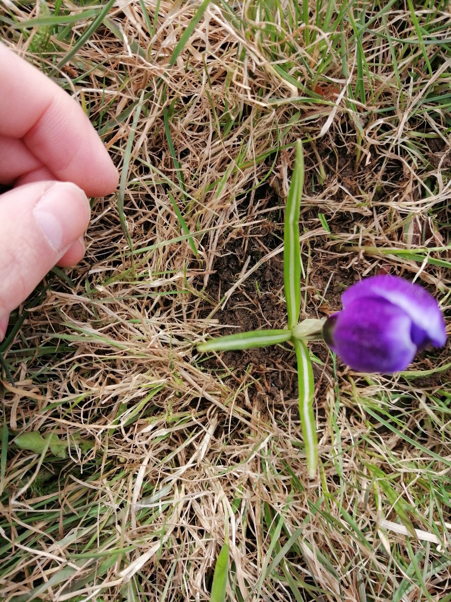 Annexe 91715059_647025896131576_7033790455154212864_n.jpg