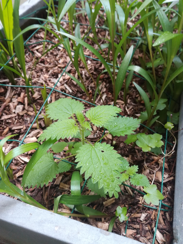 Annexe Vue globale.jpg