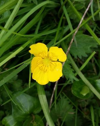 Annexe 20200329_123712.jpg