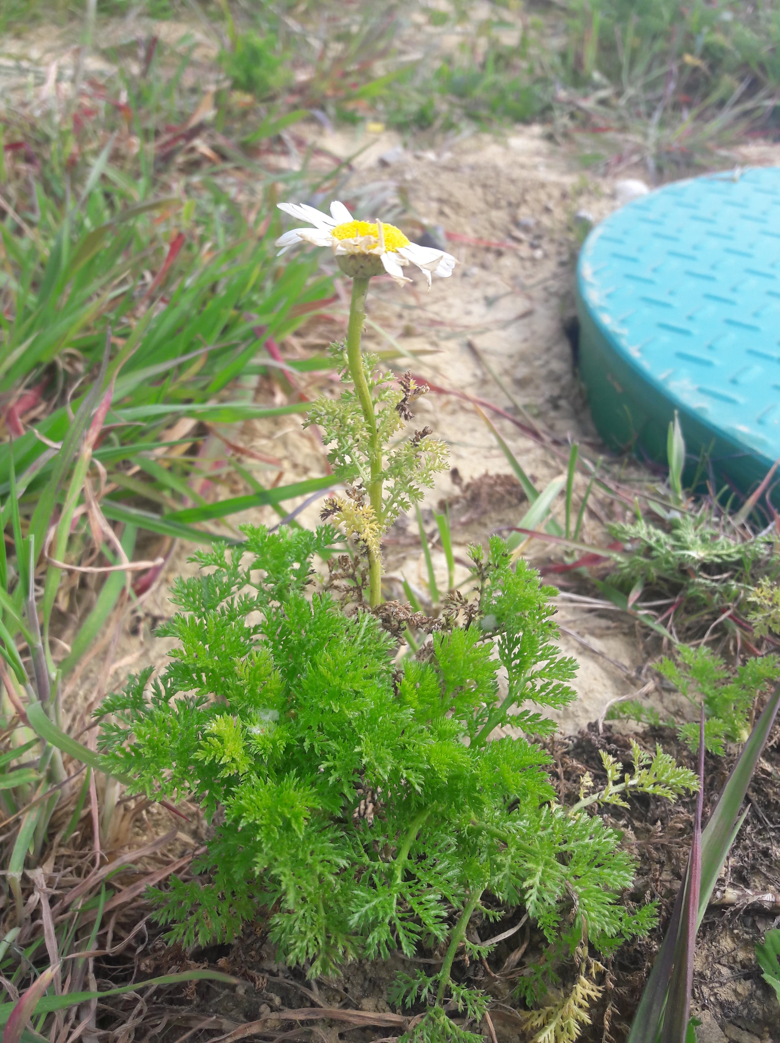 Annexe 91033121_503568287003984_6719048594504024064_n.jpg