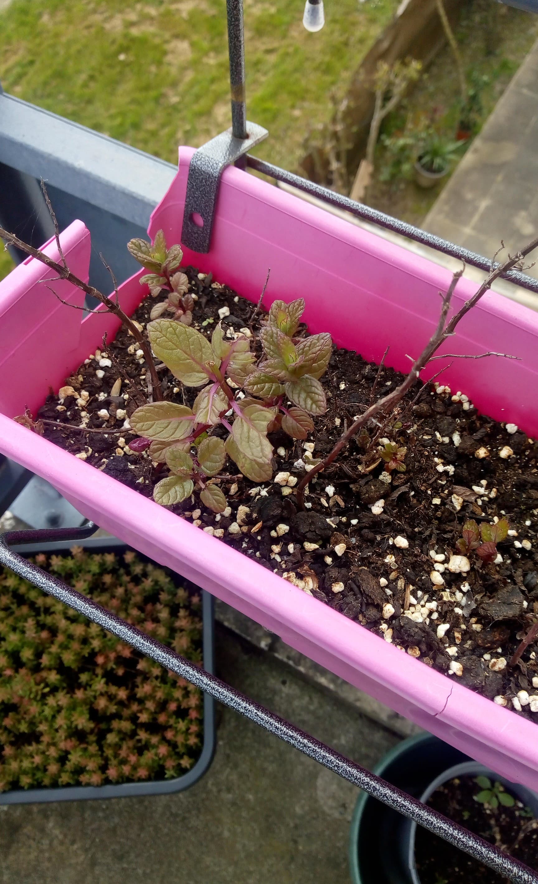 Annexe 90790611_241306013677907_6525114723552198656_n.jpg