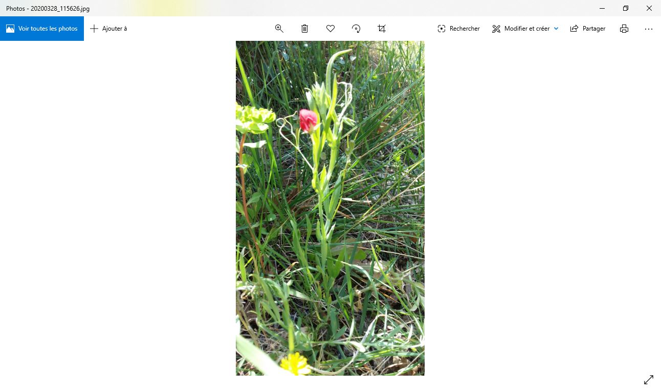 Annexe Capture 2.JPG