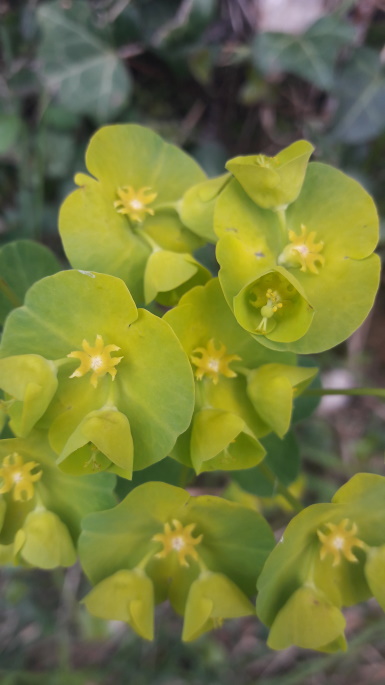 Annexe 20200329_145810.jpg