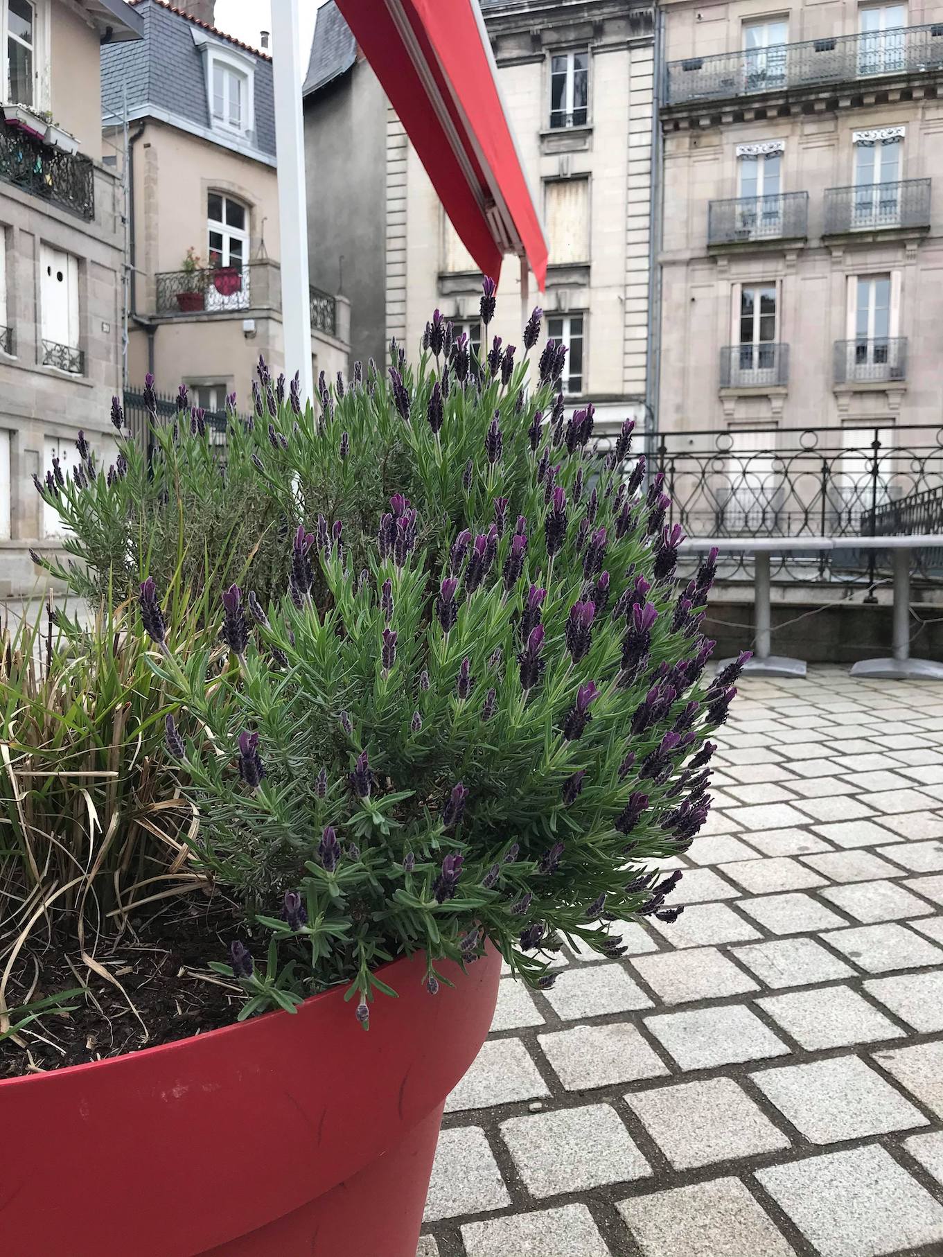 Annexe 91024857_2059454684188416_2461491992660541440_n.jpg