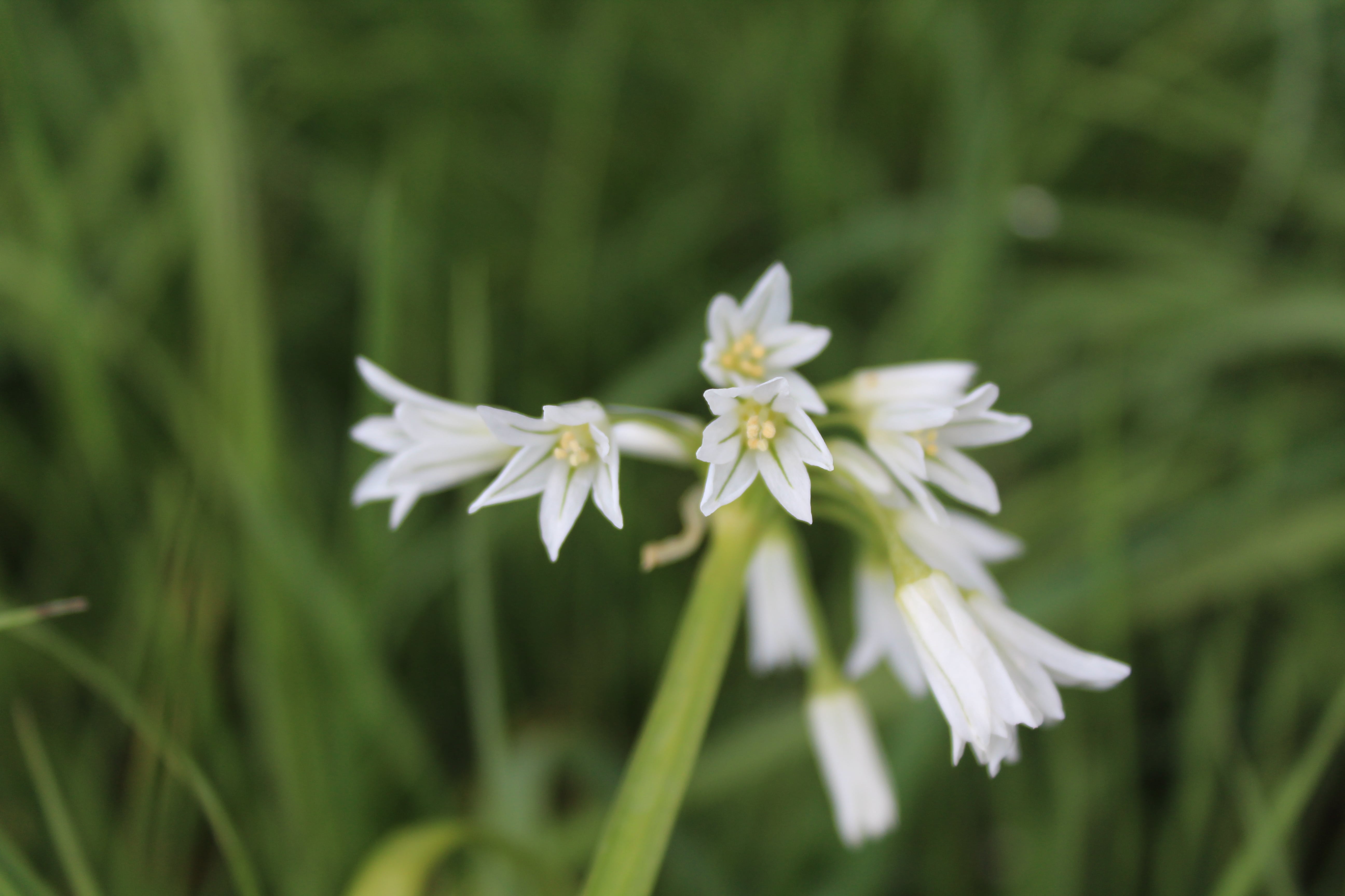 Annexe IMG_1039-min.JPG