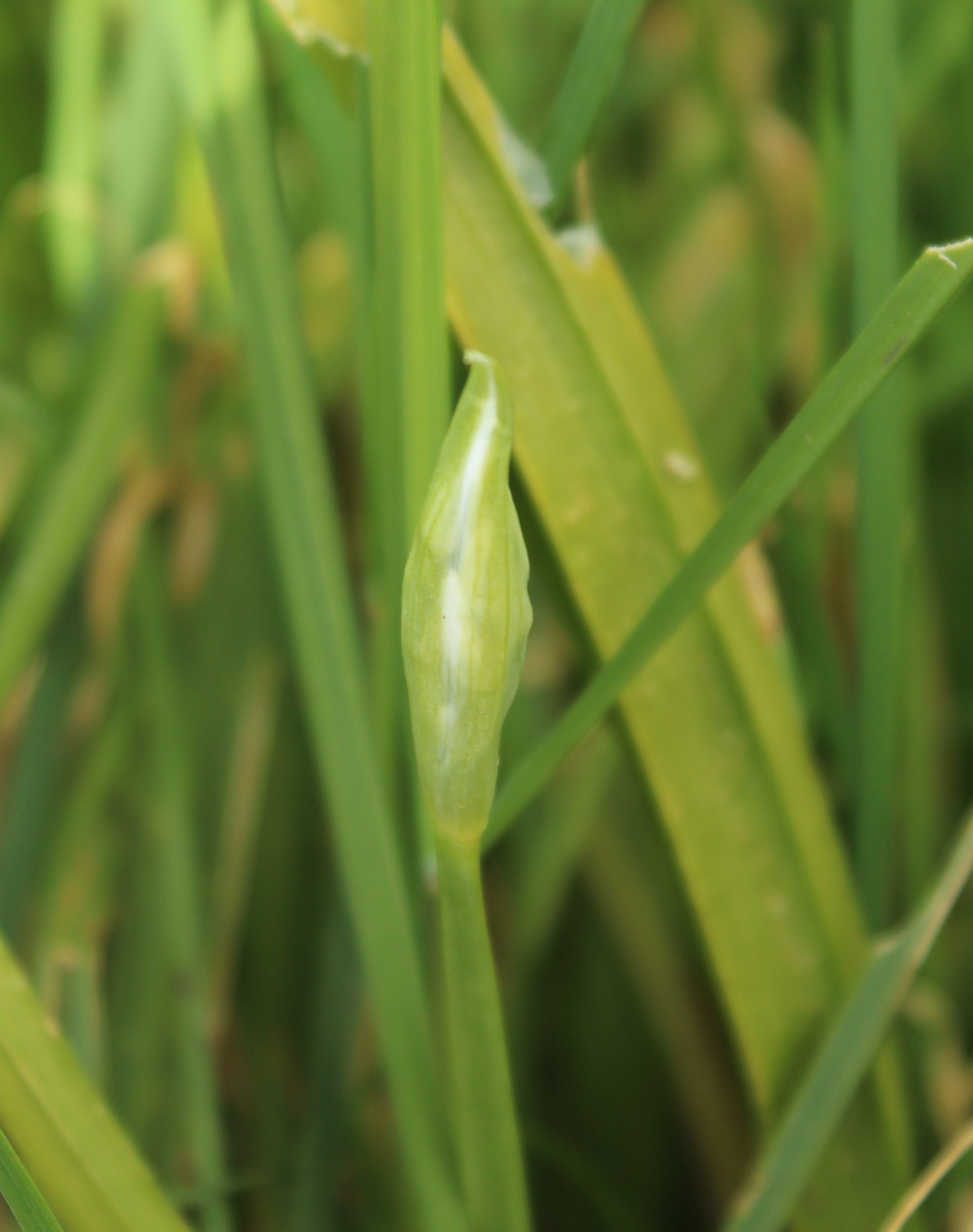 Annexe IMG_1041-min.JPG