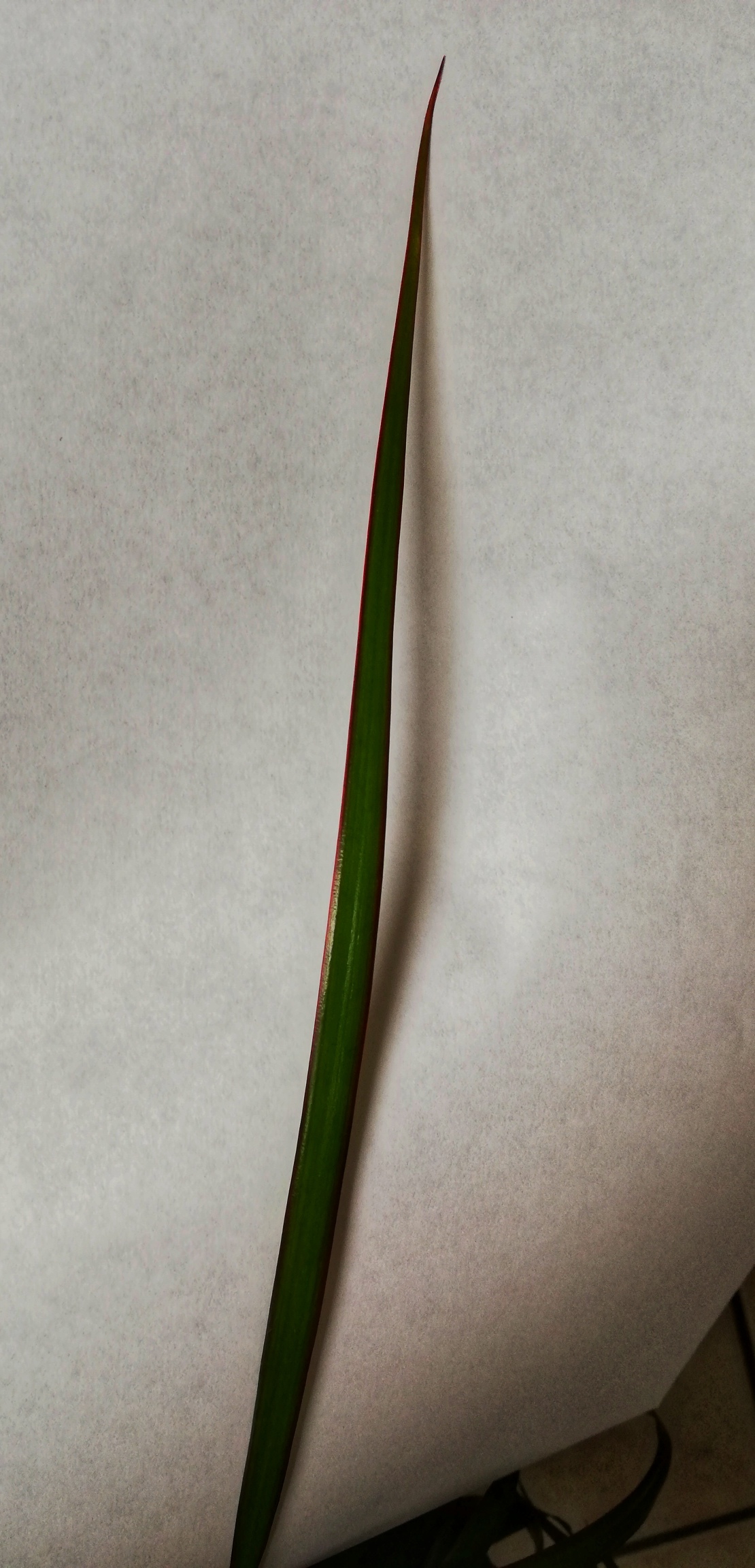 Annexe IMG_20200329_175043.jpg