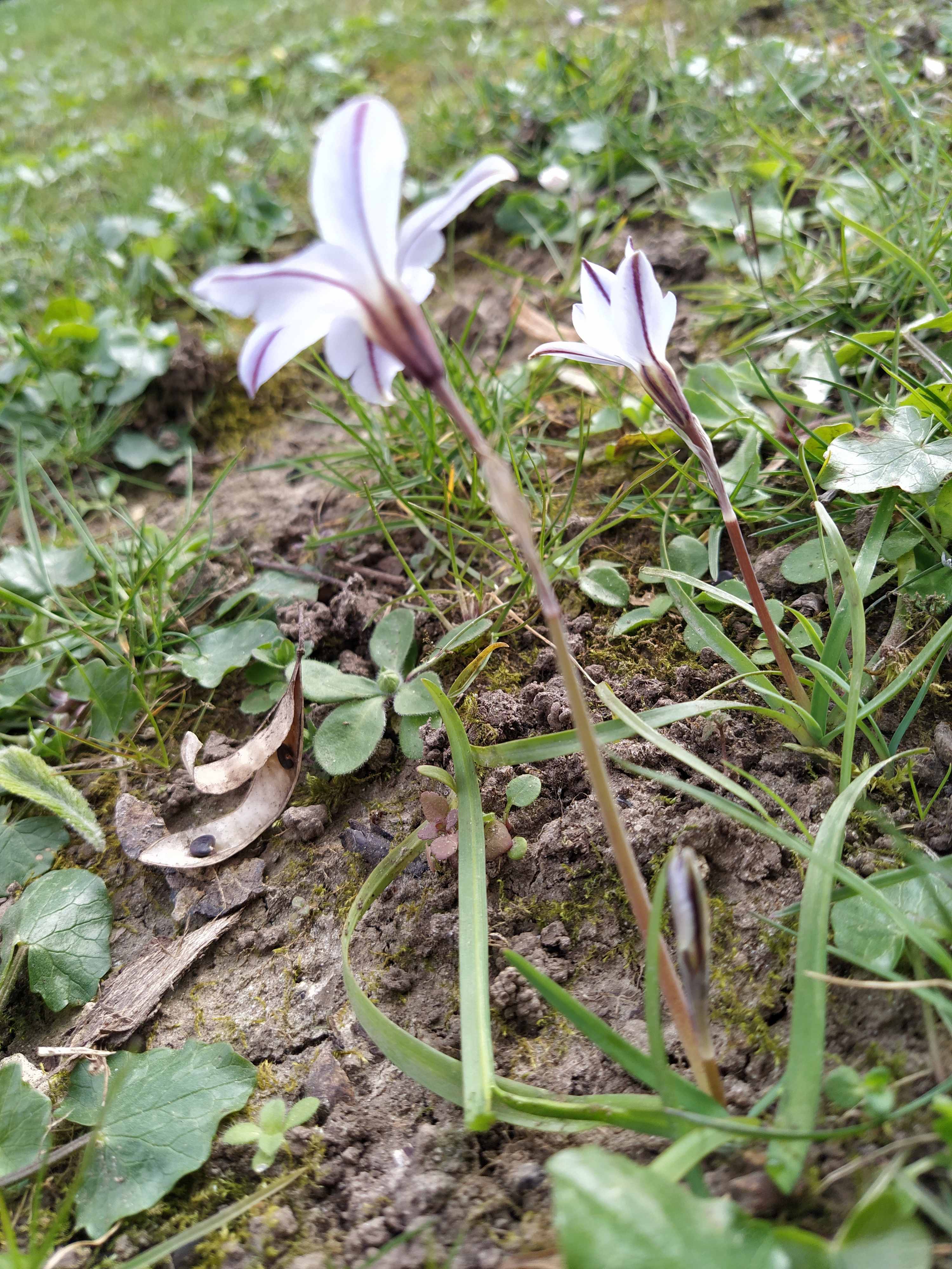 Annexe _IMG_000000_000000 (1).jpg