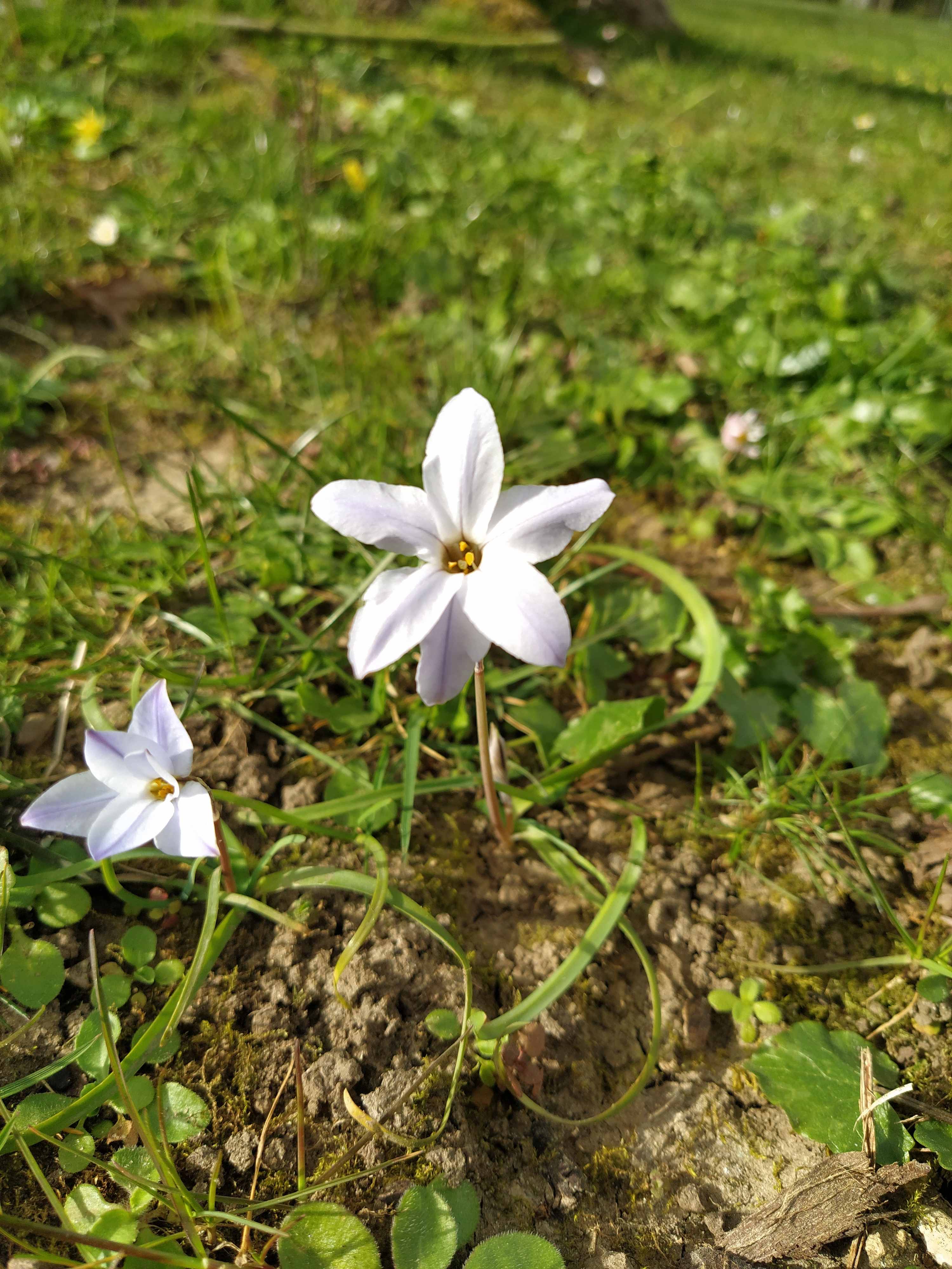 Annexe _IMG_000000_000000 (2).jpg