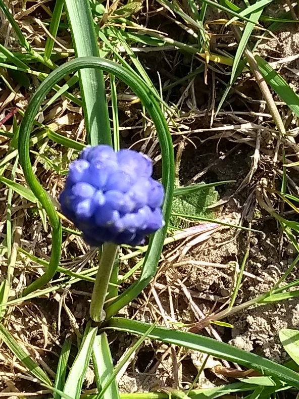 Annexe IMG_20200328_144919284_v1.jpg