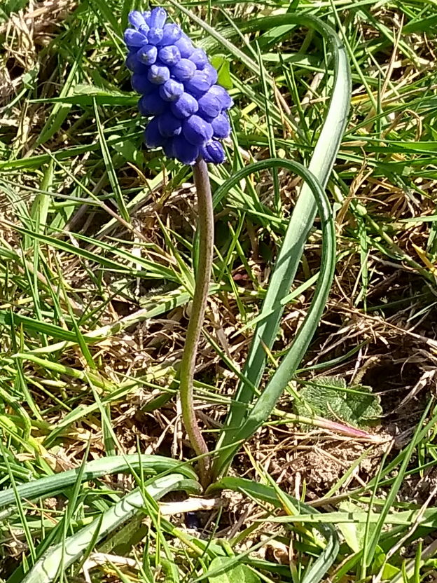 Annexe IMG_20200328_144931871_v1.jpg