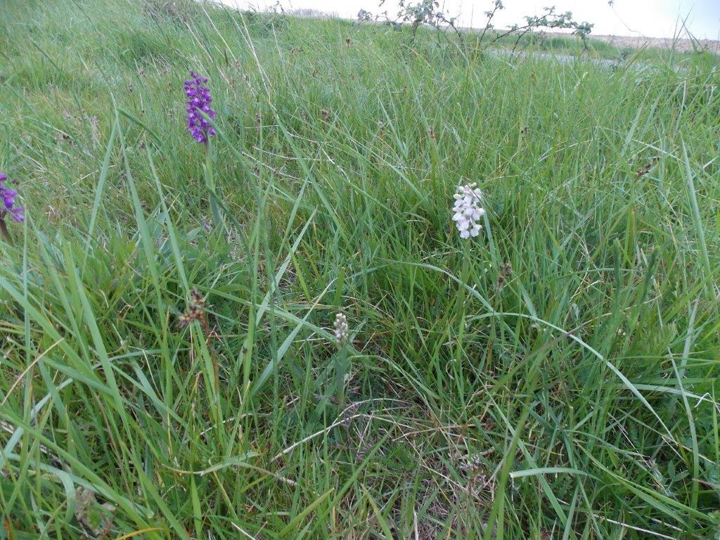 Annexe vue générale.jpg