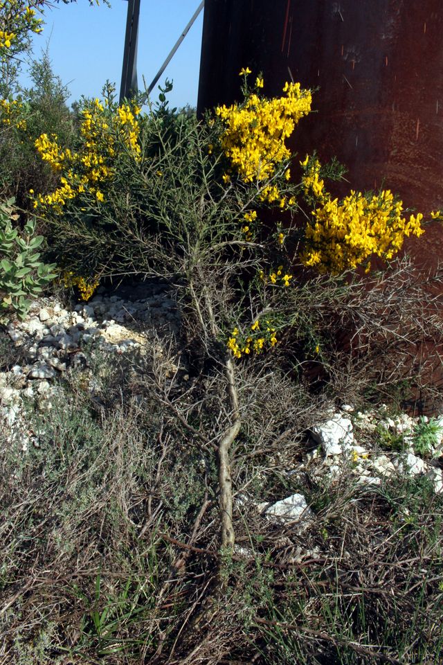 Annexe Vue_densemble.JPG