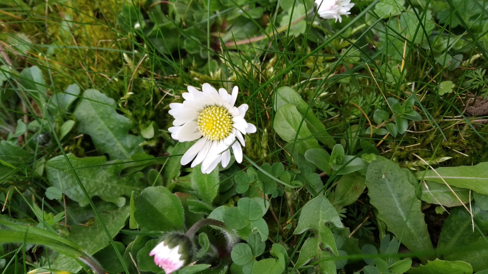 Annexe IMG_20200330_111235.jpg