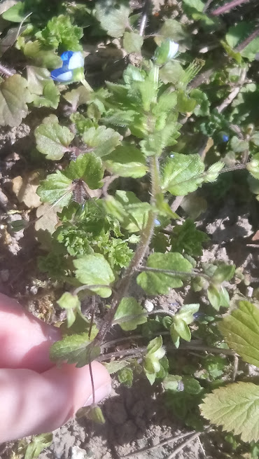 Annexe VUE globale.jpg