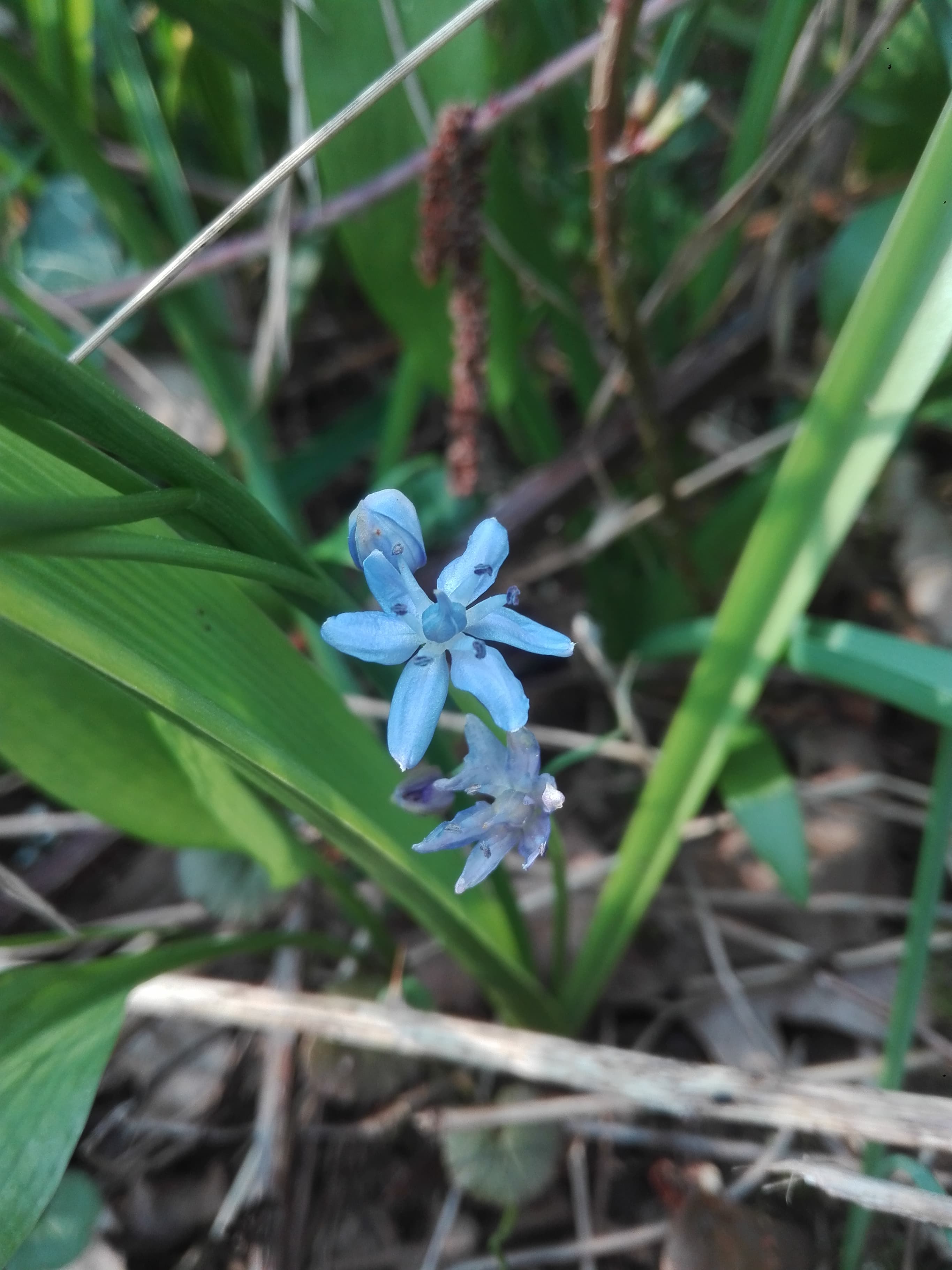 Annexe 91287600_882842395471692_3280168864435929088_n.jpg