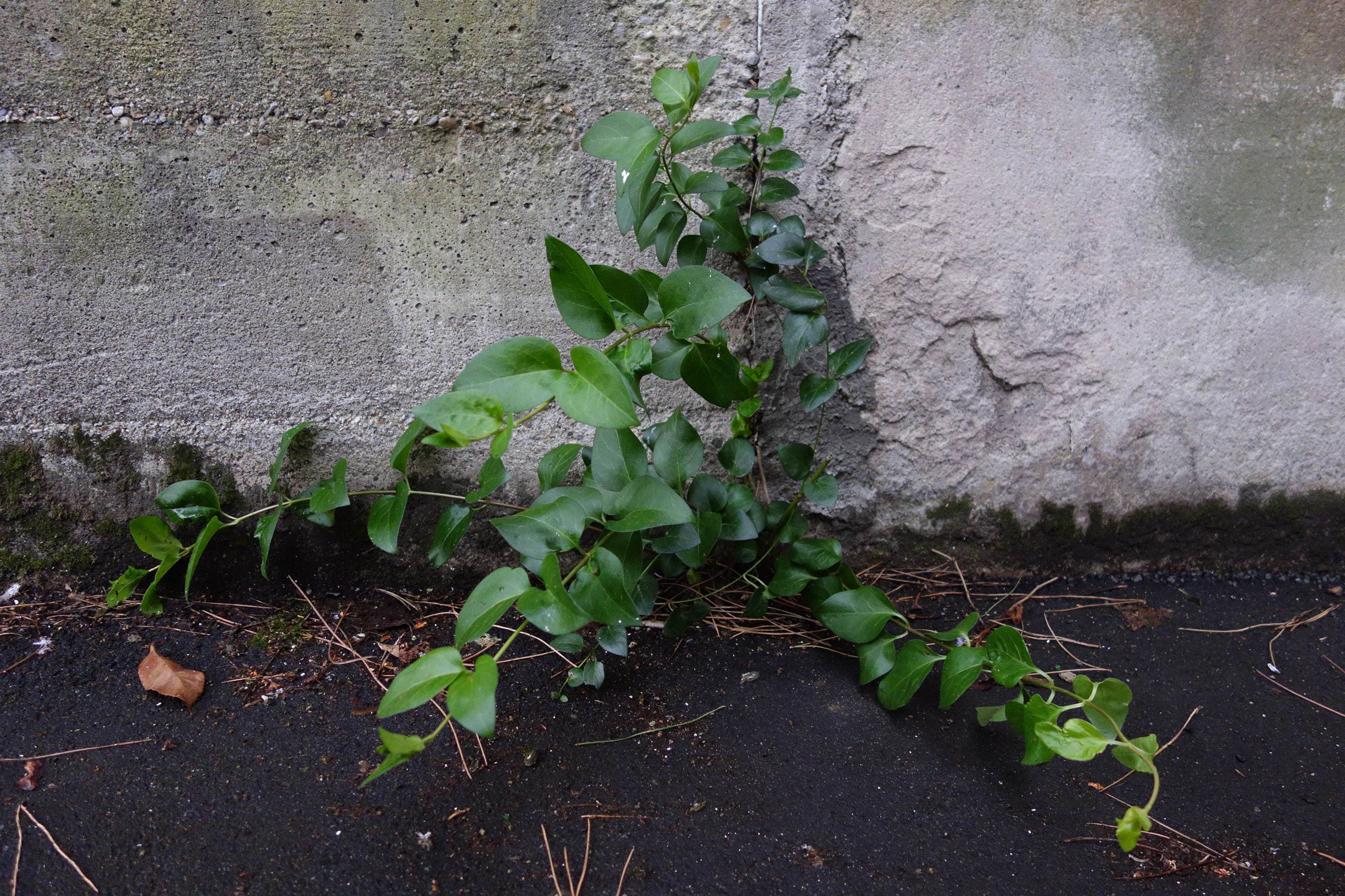 Annexe DSC00663-min-ConvertImage.jpg