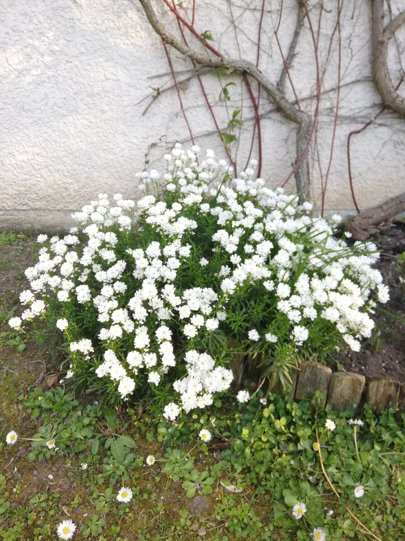 Annexe 91165804_214812656263883_6229476460822790144_n.jpg