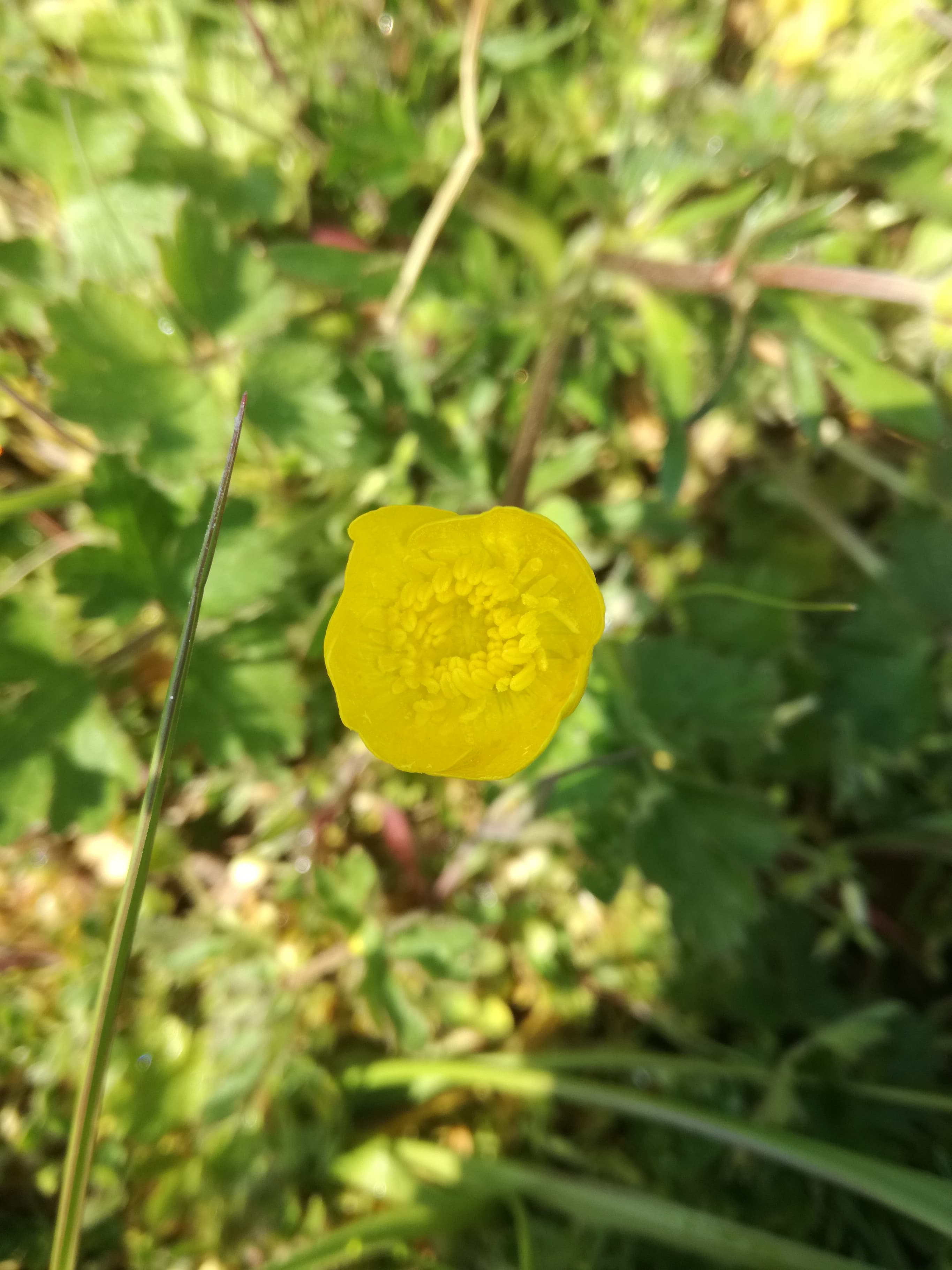 Annexe 91282582_544580286442504_2805461818724581376_n.jpg