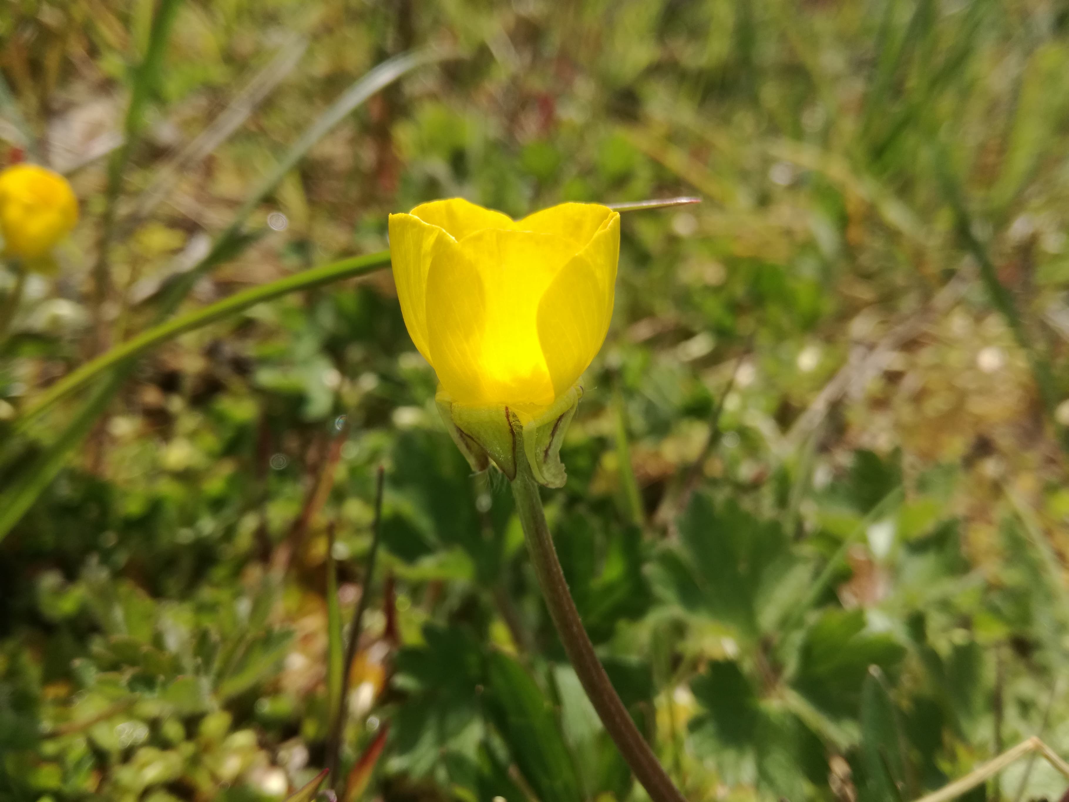 Annexe 91432780_780985152427776_2708533623853678592_n.jpg