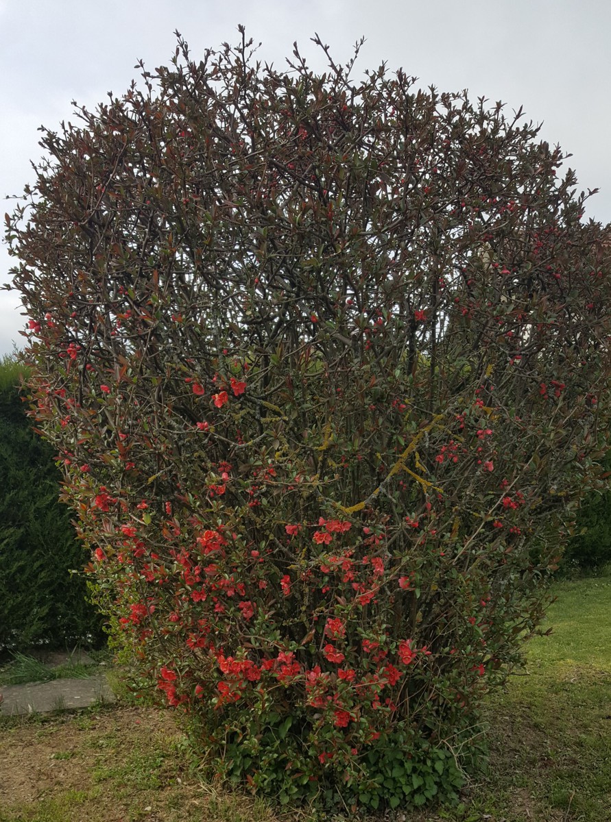 Annexe Vue densemble.jpg