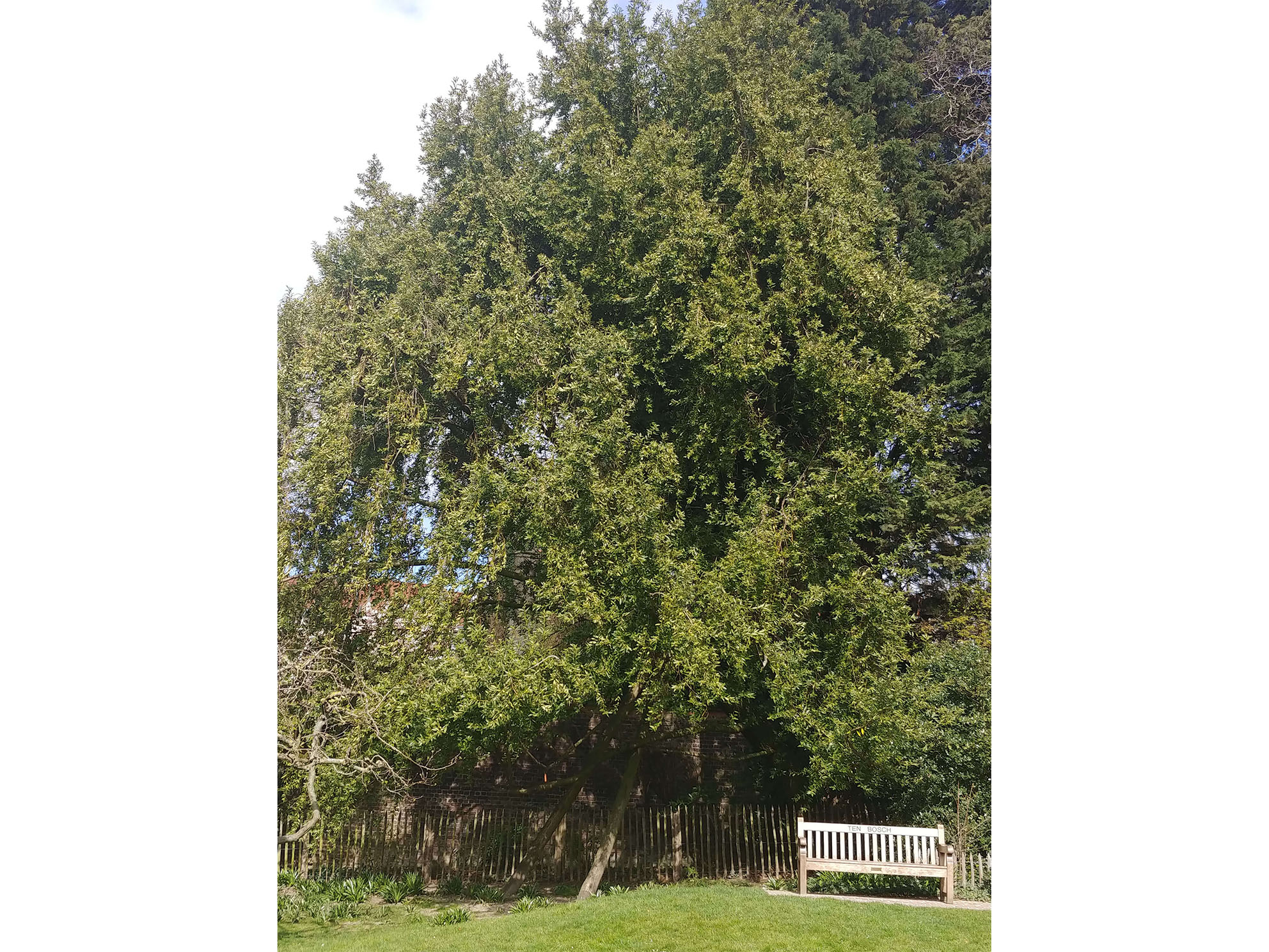 Annexe 20200330_155300 (2).jpg