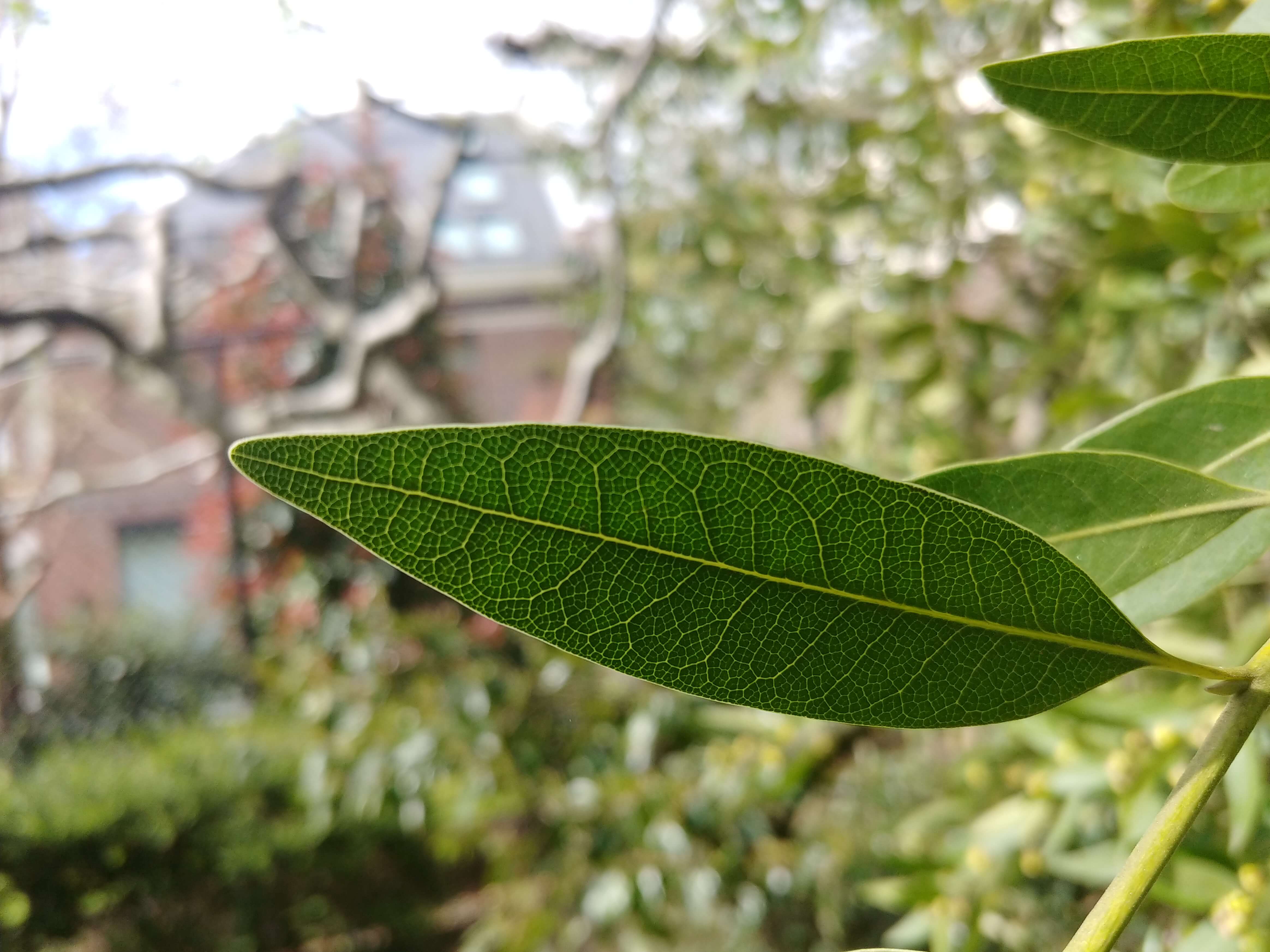 Annexe 20200330_155547_HDR (2).jpg