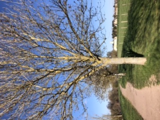 Annexe Vue ensemble.jpeg