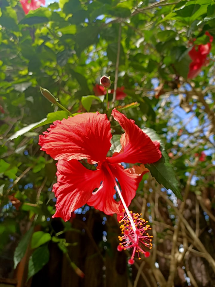 Annexe 91587011_3350965154933073_1925967445533655040_n.jpg