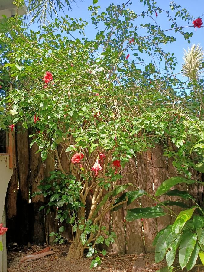 Annexe 92022064_2867334966715905_222579846822232064_n.jpg