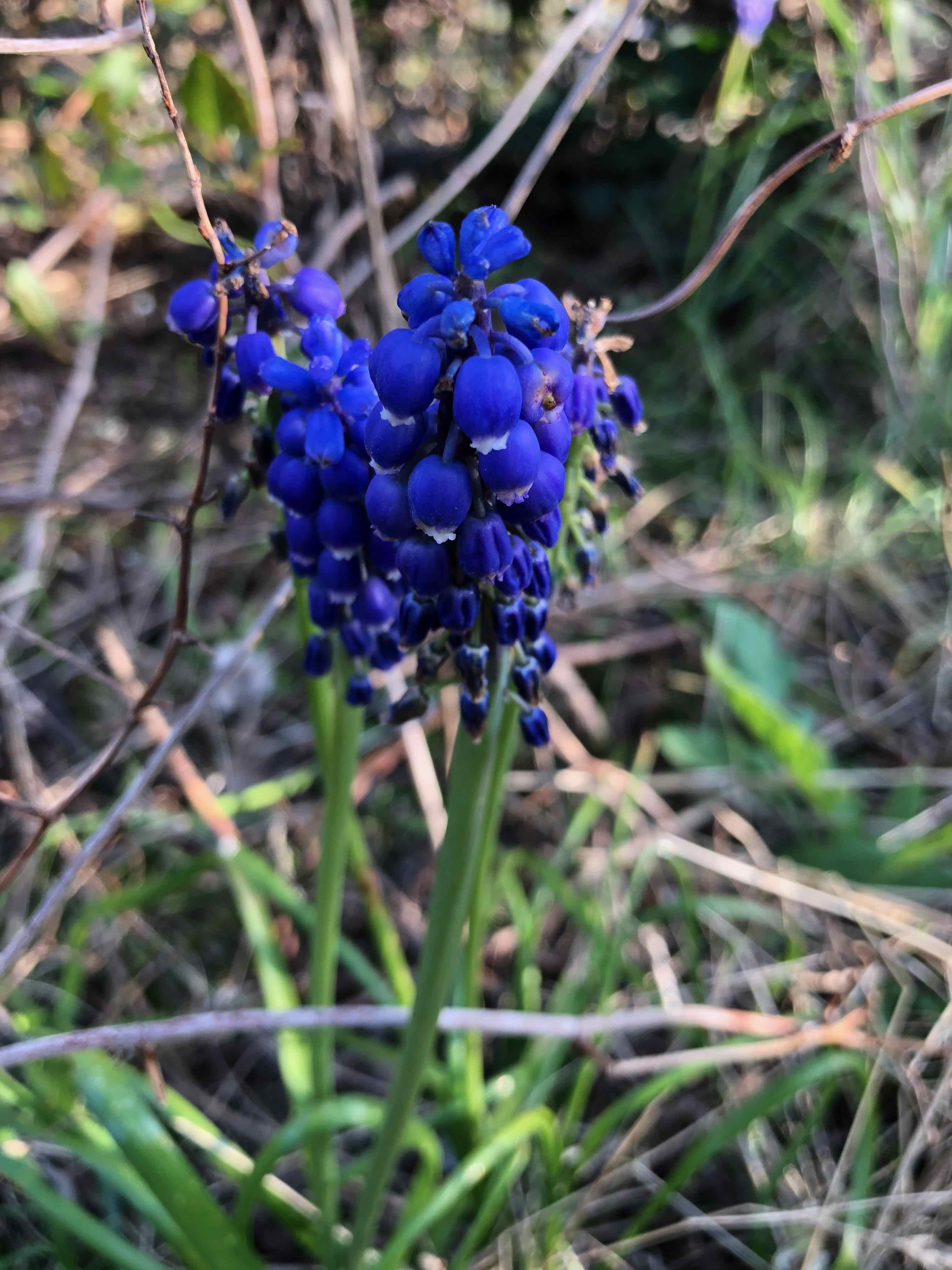 Annexe IMG_8195 (1).jpeg