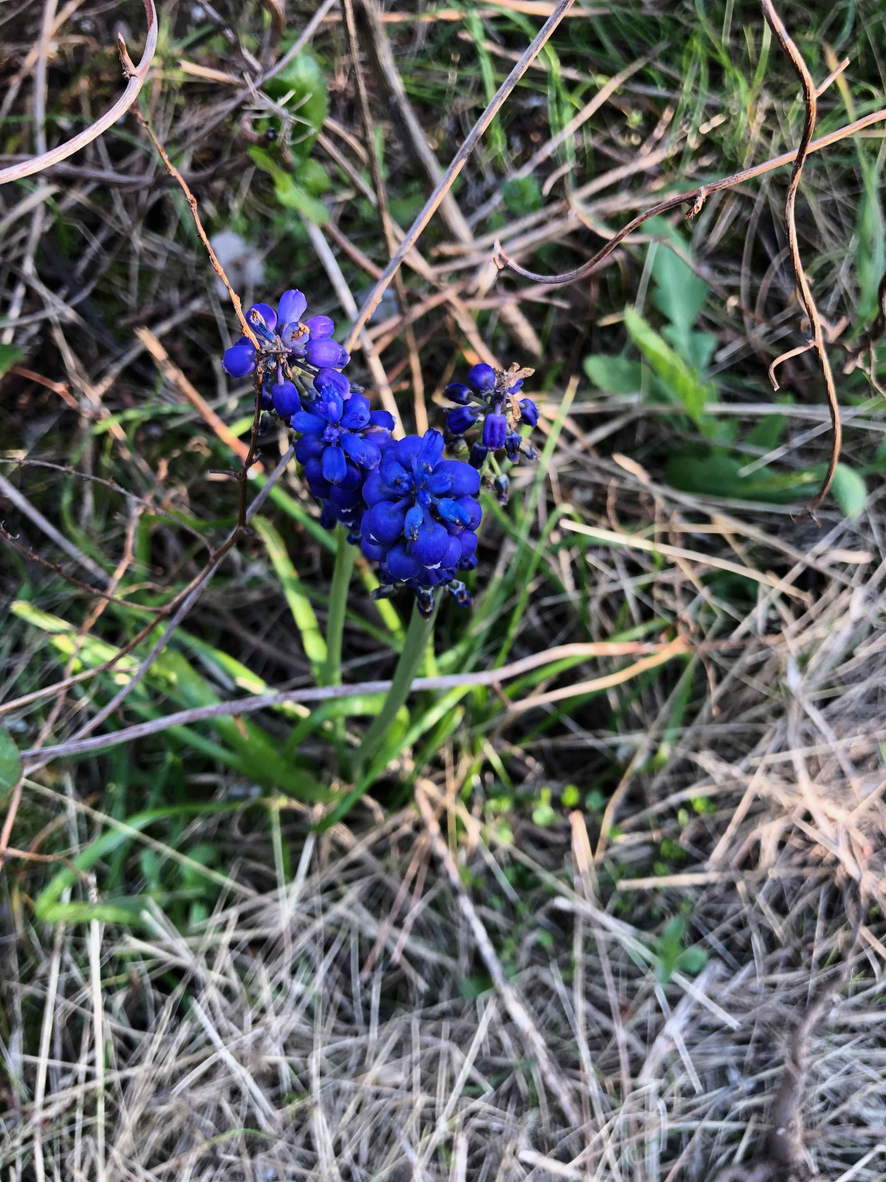 Annexe IMG_8196 (1).jpeg