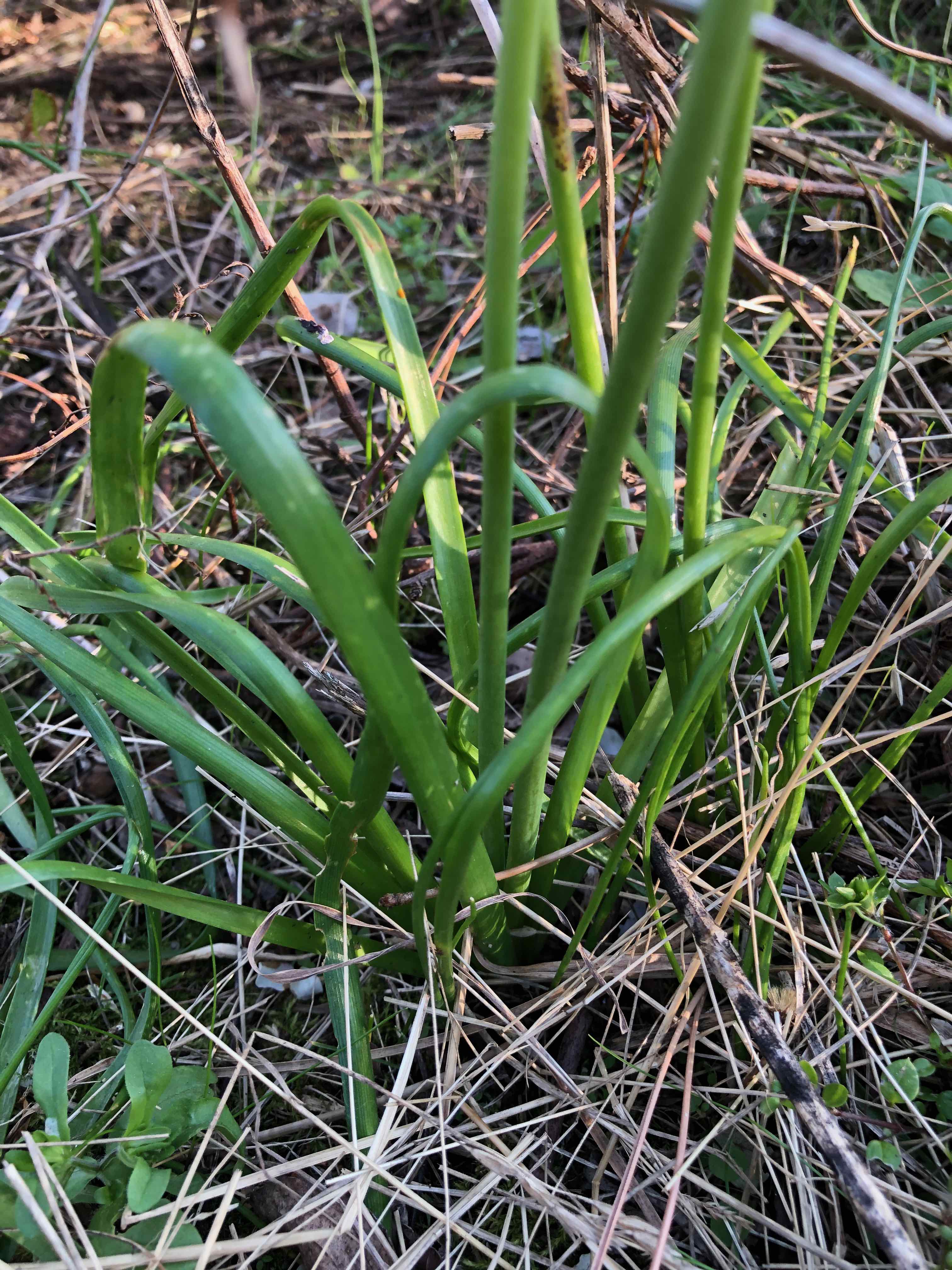 Annexe IMG_8198 (1).jpeg