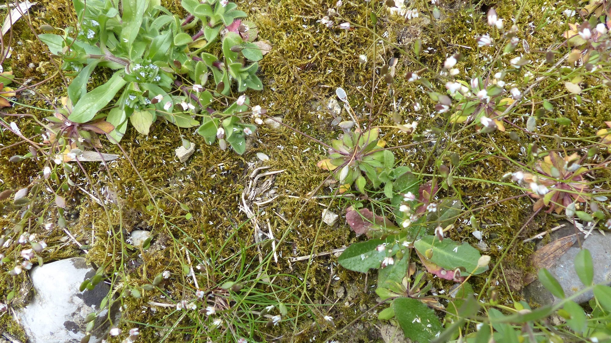 Annexe vue globale.JPG