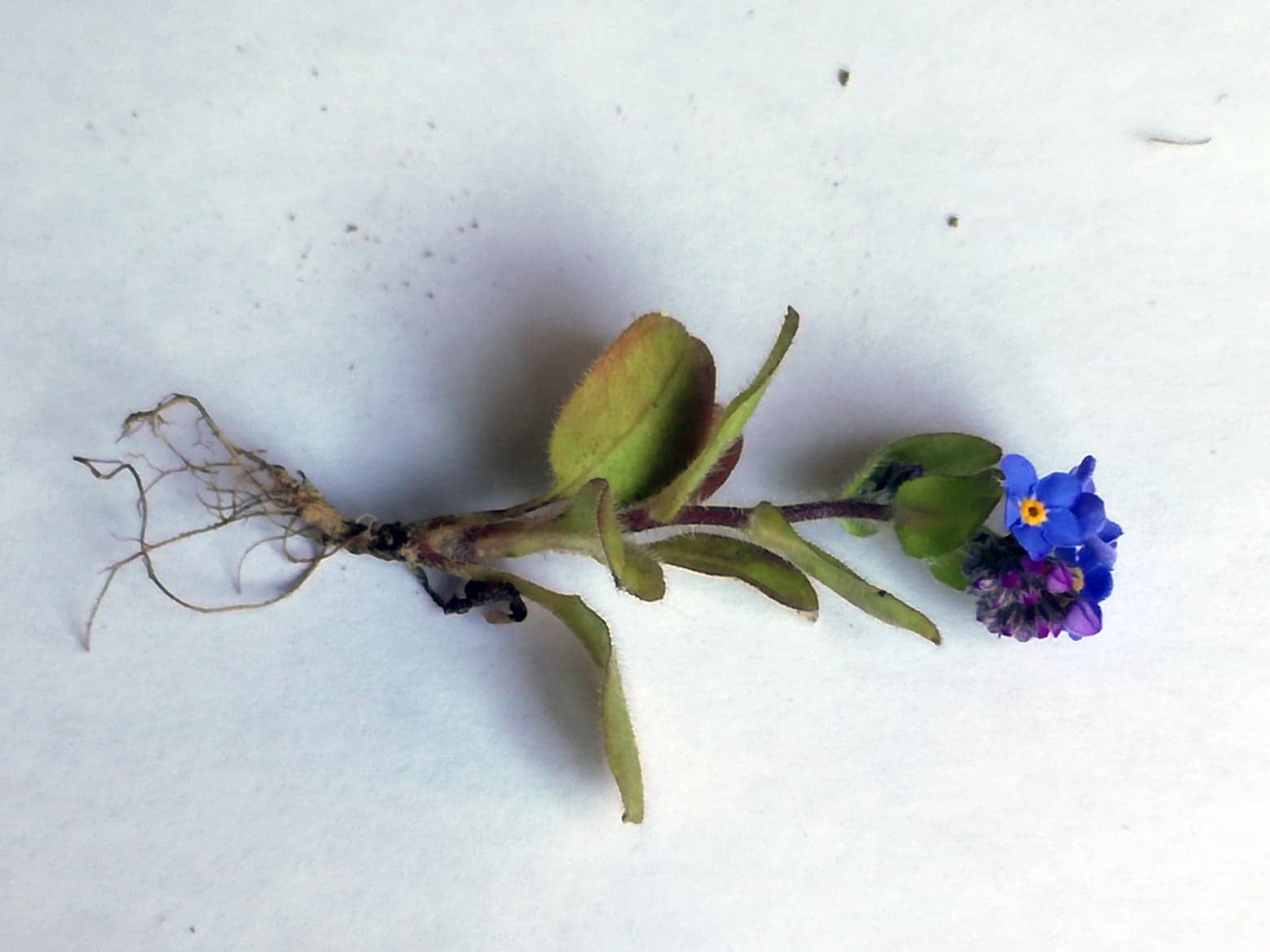 Annexe 91799535_508044673217147_811694028046204928_n.jpg