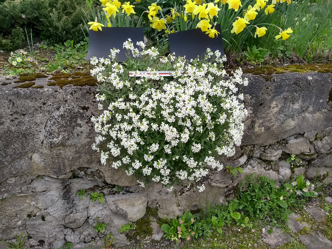 Annexe vue globale.png