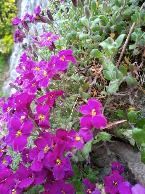 Annexe vue globale.png