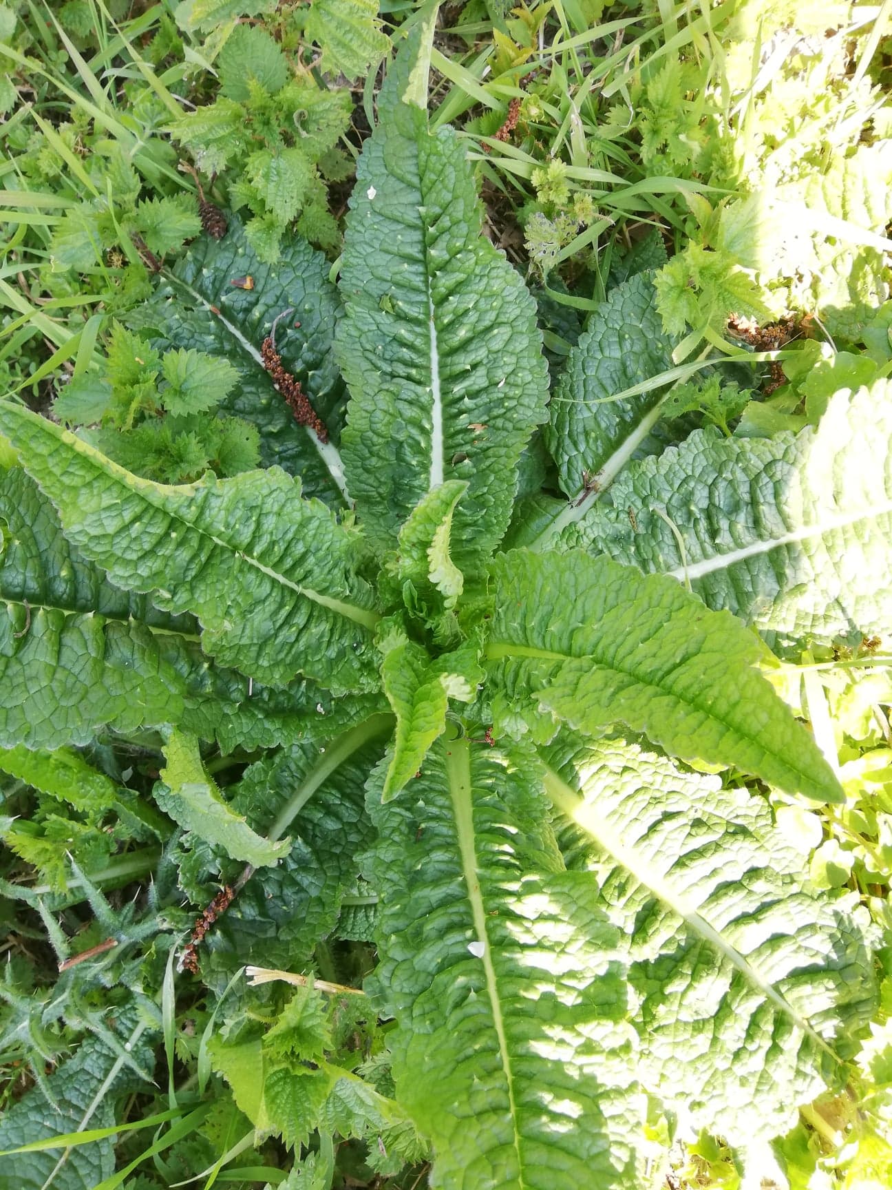 Annexe 91503498_569652053640606_6397132849979326464_n.jpg