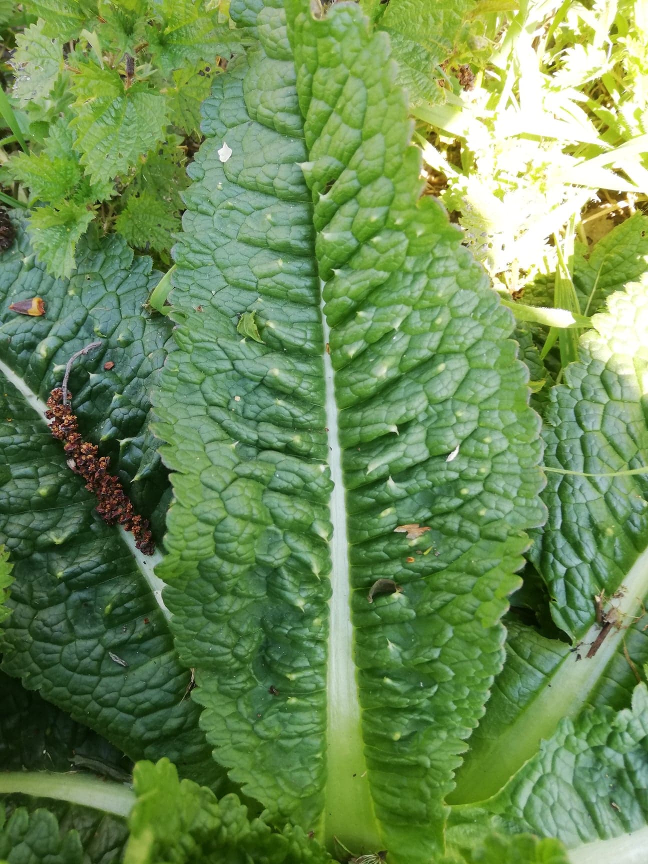 Annexe 91771433_799812640507339_1307552043933630464_n.jpg