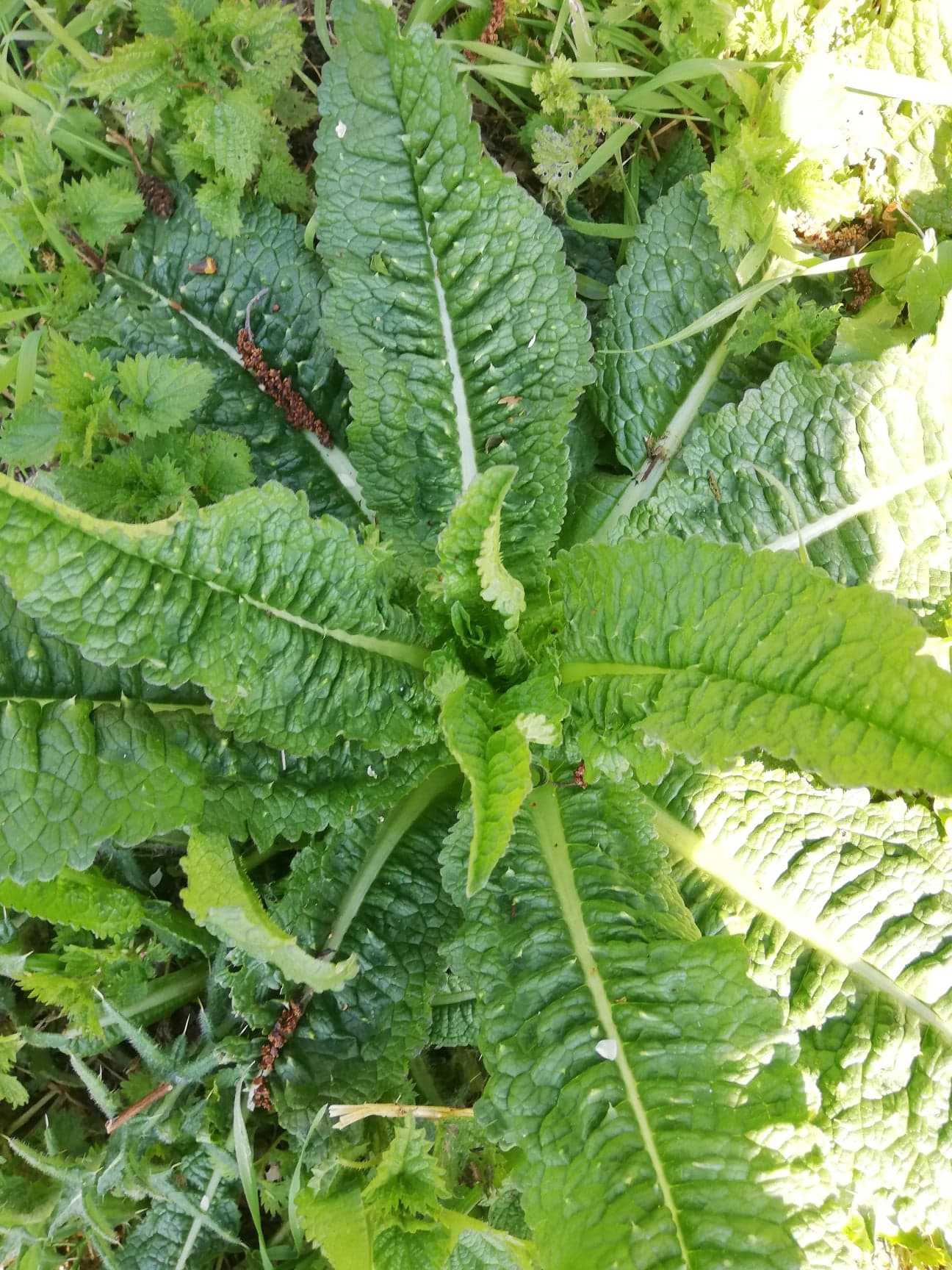 Annexe 91934268_564407144434322_563271844040278016_n.jpg