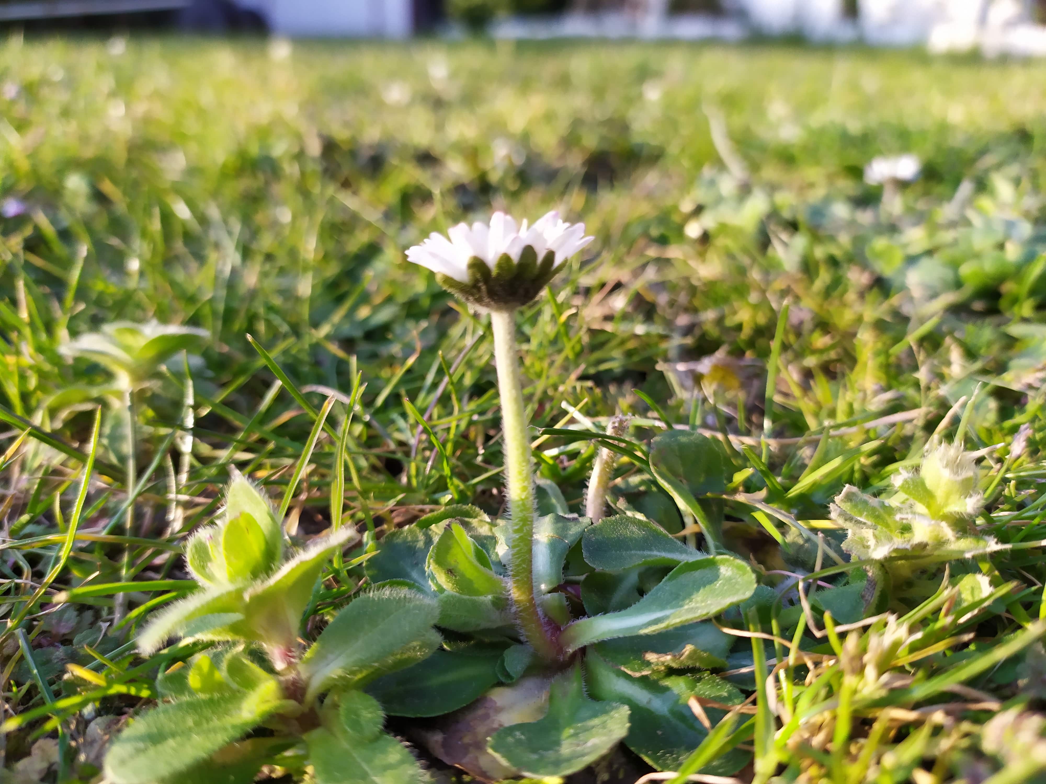 Annexe IMG_20200326_174924 (1)-min.jpg