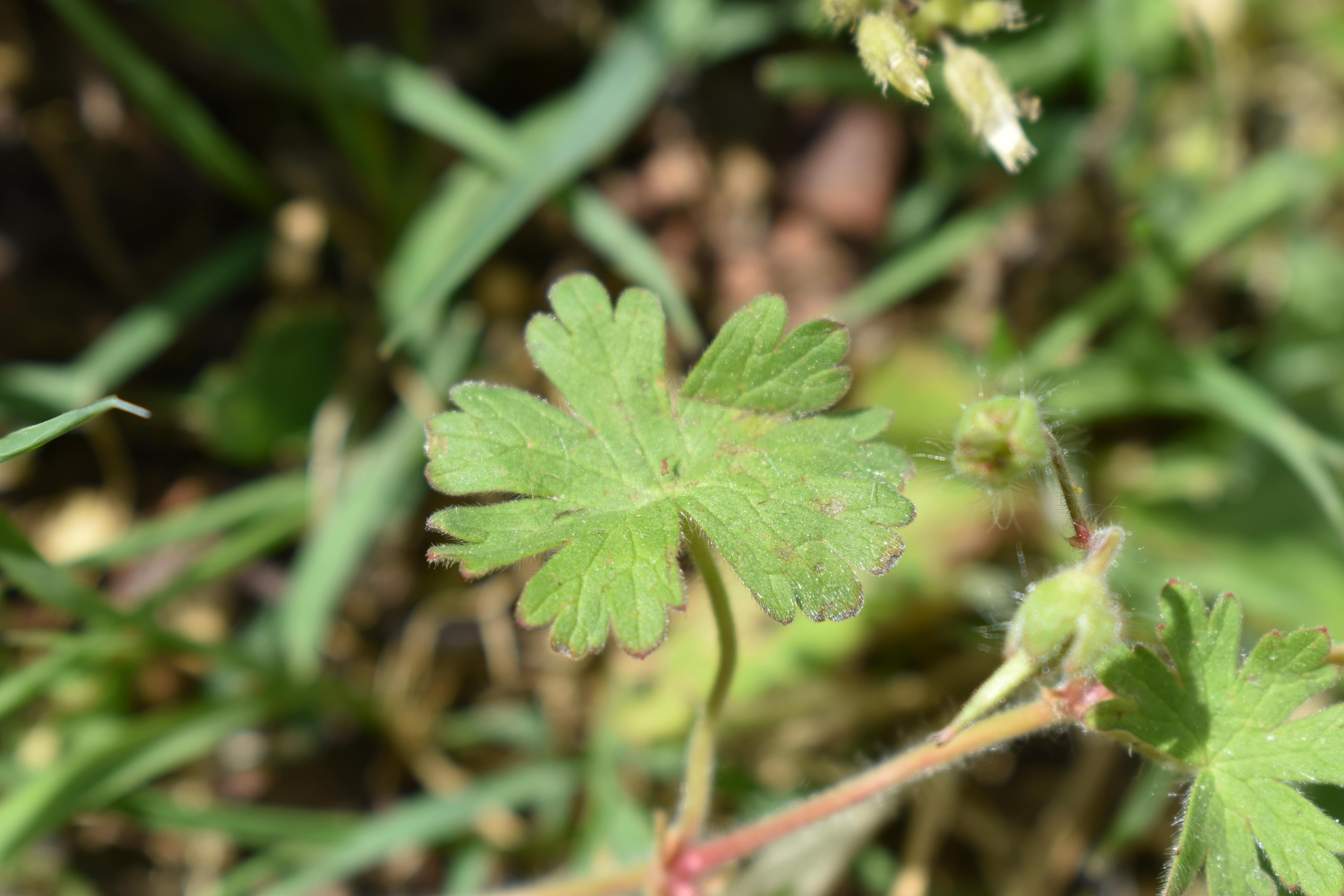 Annexe DSC_2965-min.JPG