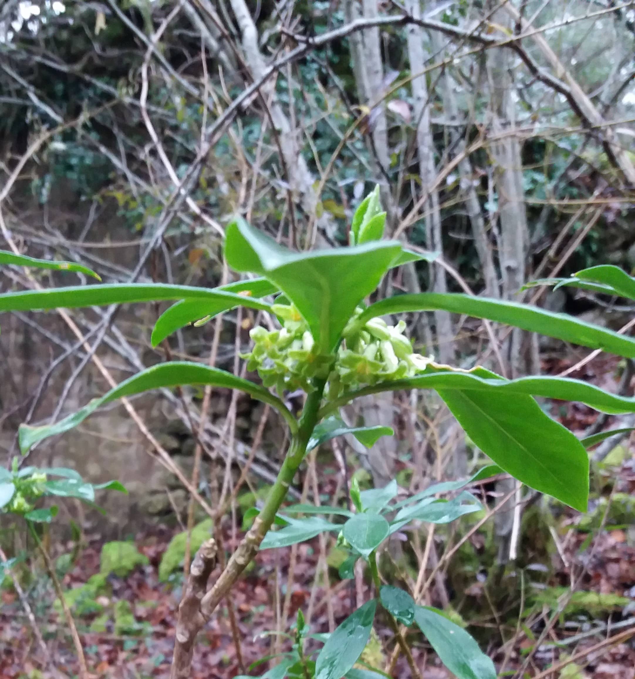 Annexe 20200203_114417 (2)-min.jpg