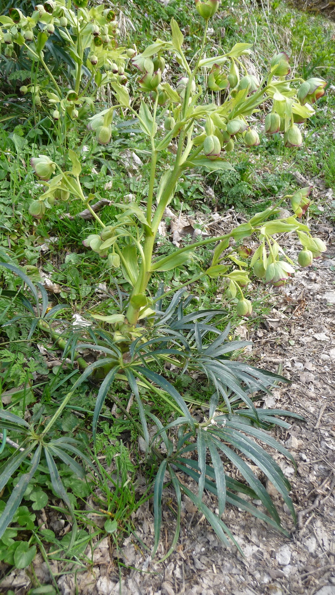 Annexe Atelier1_7f3.jpg