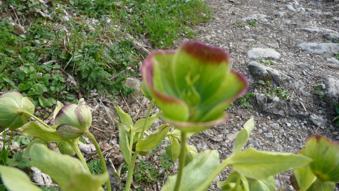 Annexe Atelier1_7f6.jpg