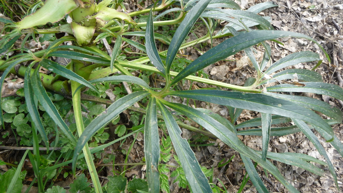 Annexe Atelier1_7f7.jpg