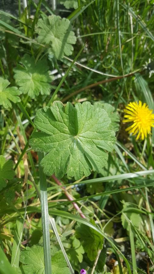 Annexe 91433938_143888020395072_4693820207037153280_n.jpg