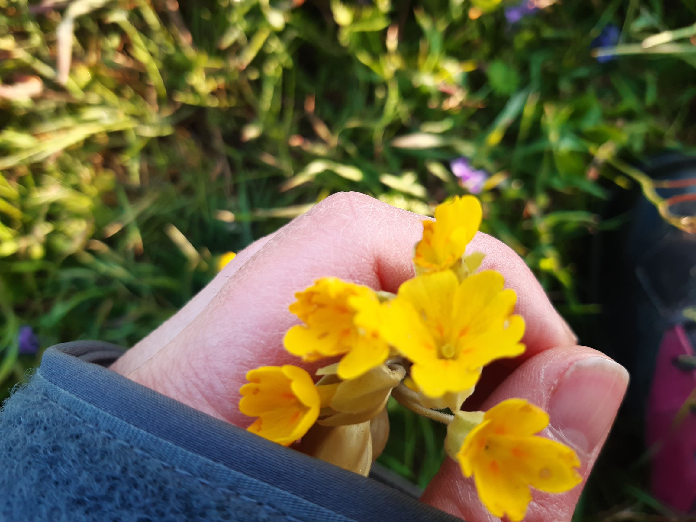 Annexe 20200331_085451_compress81.jpg