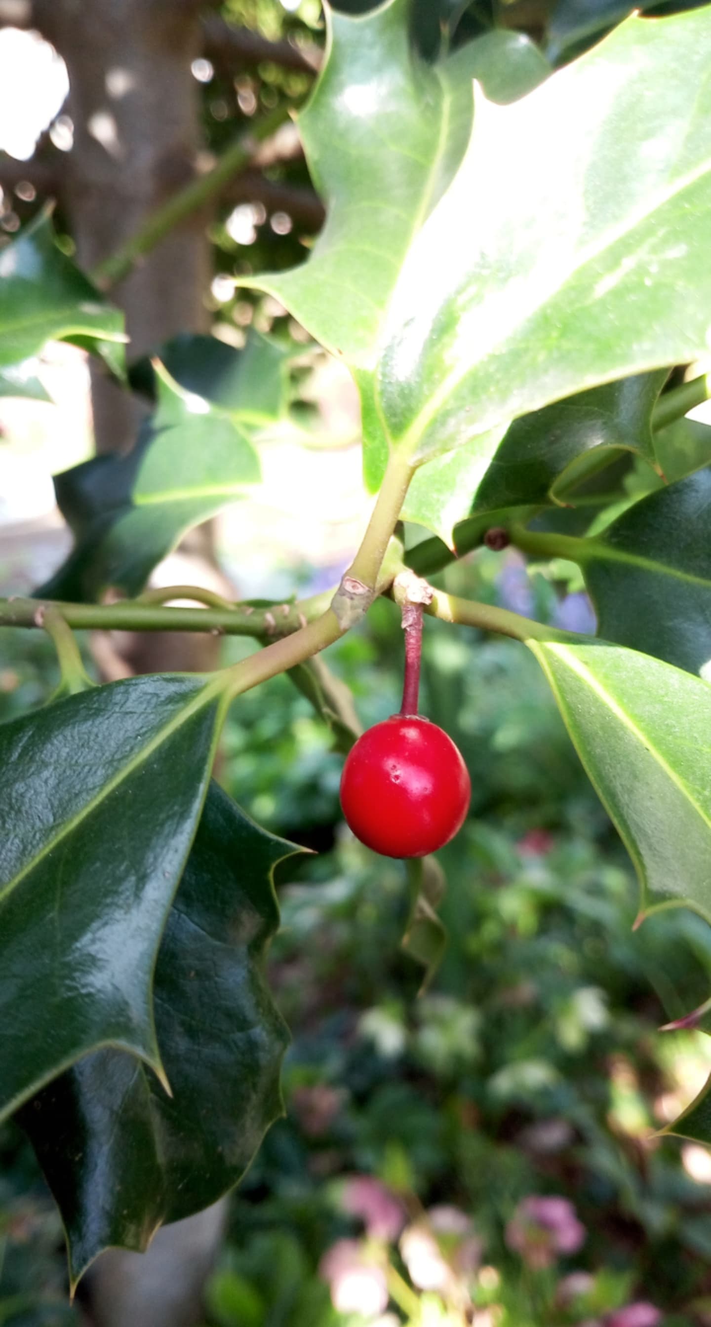 Annexe 91042268_542688049973598_7411316190687002624_n.jpg